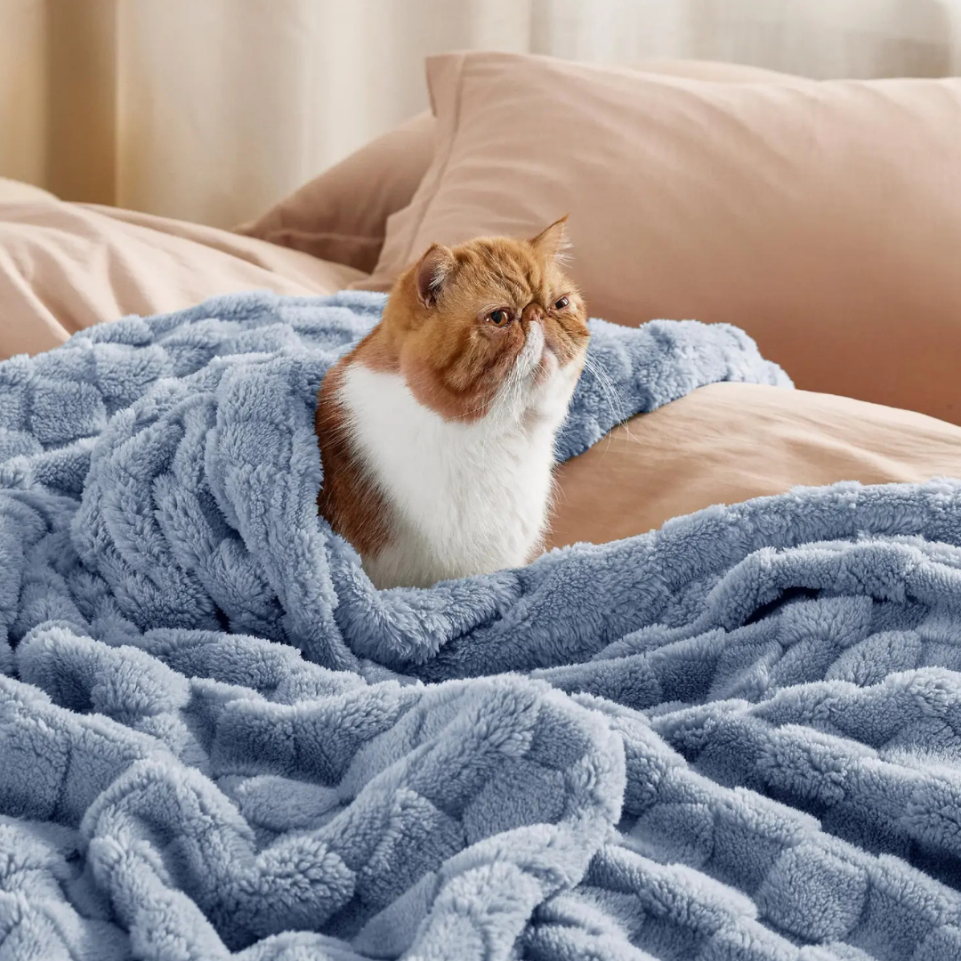 Cobertor Queen Flannel Premium Com Sherpa